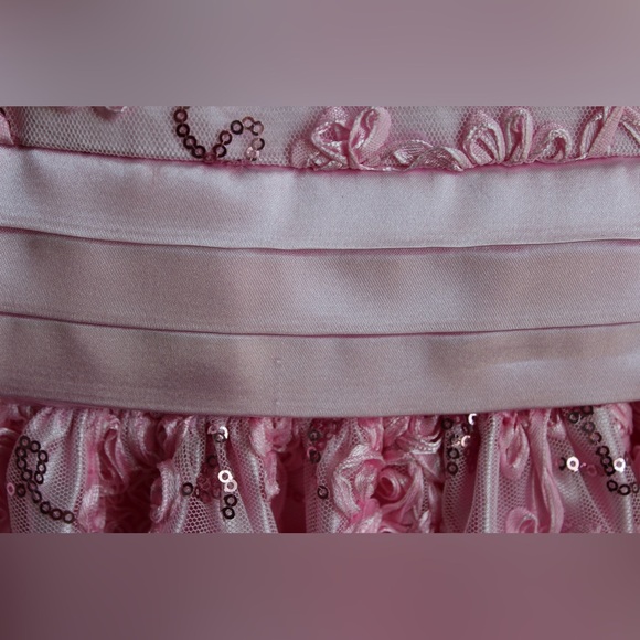American Princess Pink Embroidered Dress - Picture 4 of 10